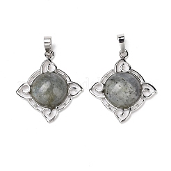Natural Labradorite Pendants&nbsp;G-M385-06P-B