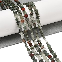 Natural Bloodstone Beads Strands&nbsp;G-H087-C05-01