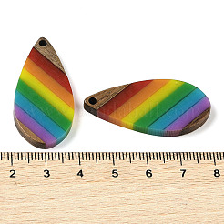 Pride Rainbow Theme Resin & Walnut Wood Pendants&nbsp;WOOD-K012-09A