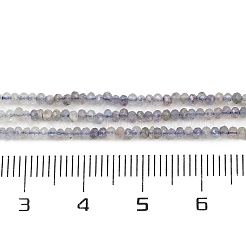 Natural Iolite Beads Strands&nbsp;G-F789-02