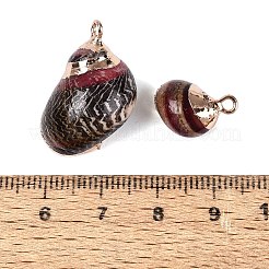 Electroplate Natural Spiral Shell Pendants&nbsp;SSHEL-Q100-47G