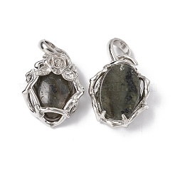 Natural Labradorite Pendants&nbsp;G-P484-03P-06