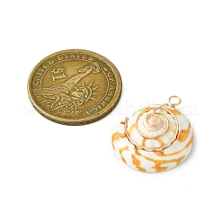 Copper Wire Wrapped Natural Shiva Eye Shell Pendants&nbsp;PALLOY-TA00185