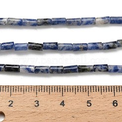Natural Blue Spot Jasper Beads Strands&nbsp;G-P600-B05-01