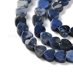 Natural Sodalite Beads Strands&nbsp;G-M403-A08-01