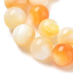 Natural Yellow Shell Beads Strands&nbsp;SH-CBACA76-16C