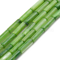 Natural Freshwater Shell Beads Strand&nbsp;SHEL-T017-40