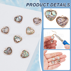 12Pcs Brass Pave Paua Shell Heart Charms&nbsp;FIND-BC0013-84B