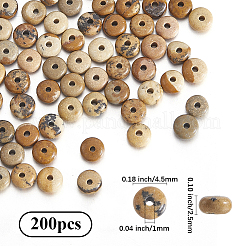 200Pcs Natural Picture Jasper Beads&nbsp;G-PA0001-01