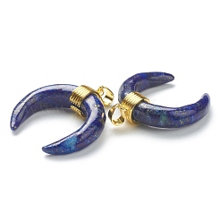 Natural Lapis Lazuli Pendants&nbsp;G-A017-13G