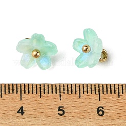 Alloy Acrylic Pendants&nbsp;TACR-P016-01G-14