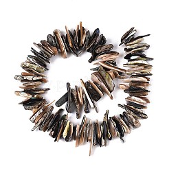 Natural Paua Shell Beads Strands&nbsp;SHEL-T020-42