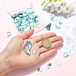 100Pcs Natural Akoya Shell Big Pendants&nbsp;SHEL-YW0001-23