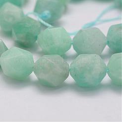 Natural Amazonite Bead Strands&nbsp;G-G970-10-10mm