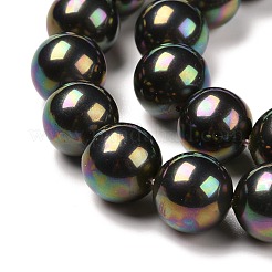 Shell Pearl Bead Strands&nbsp;BSHE-L025-05-6mm