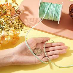 Velvet Ribbon&nbsp;OCOR-TAC0038-08H
