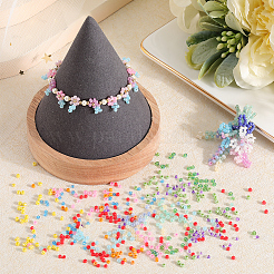 156g 12 Style Glass Seed Beads&nbsp;SEED-SC0001-32A-05
