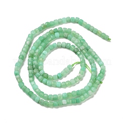 Natural Chrysoprase Beads Strands&nbsp;G-B088-E19-02