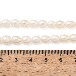 Natural Cultured Freshwater Pearl Beads Strands&nbsp;PEAR-D003-01D-15