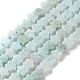 Natural Amazonite Beads Strands&nbsp;G-G085-B45-02-2