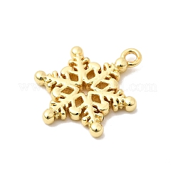 Brass Pendants&nbsp;KK-L258-12G