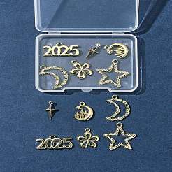 12Pcs 6 Styles Alloy Pendants&nbsp;FIND-FS0003-38G