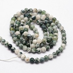 Natural Tree Agate Beads Strands&nbsp;G-N0192-01-2mm