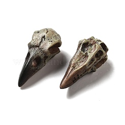 Crow Raven Bird Skull Resin Home Display Decoration&nbsp;RESI-A018-01B