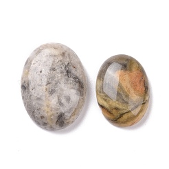 Natural Crazy Agate Cabochons&nbsp;G-P468-16B-02