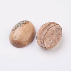 Natural Picture Jasper Flat Back Cabochons&nbsp;G-G741-18x25mm-07