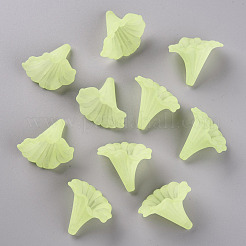 Transparent Acrylic Beads&nbsp;BSF796-C17