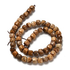 Natural Picture Jasper Beads Strands&nbsp;G-H078-C14-01