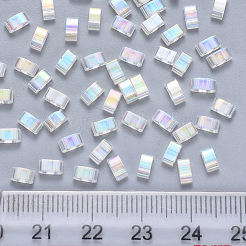 FGB 2-Hole Transparent Glass Seed Beads&nbsp;SEED-S031-M-250