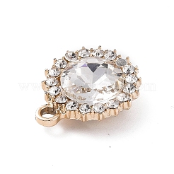 Alloy Rhinestone Pendants&nbsp;ALRI-C008-58LG-01