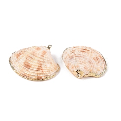 Natural Sea Shell Pendants&nbsp;SSHEL-N038-16