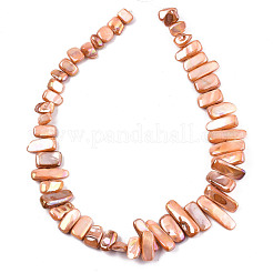 Natural Freshwater Shell Beads Strands&nbsp;SHEL-N026-123D