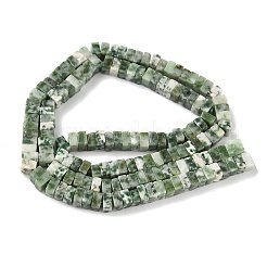 Natural Green Spot Jasper Beads Strands&nbsp;G-I394-A04