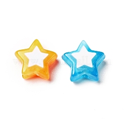 Opaque Acrylic Beads&nbsp;SACR-G028-04