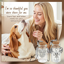 10Pcs 2 Styles Transparent Glass Empty Bottles&nbsp;AJEW-OC00046