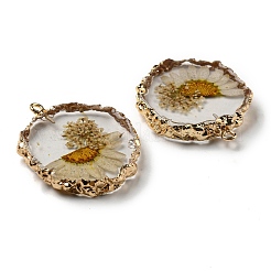 Inner Dried Flower Resin Pendants&nbsp;RESI-P028-02KCG-08