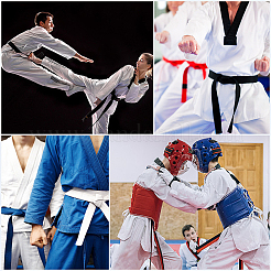 Taekwondo Belt&nbsp;AJEW-WH20022-73C-01