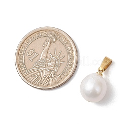 Natural Baroque Pearl Keshi Pearl Pendants&nbsp;PALLOY-JF04827