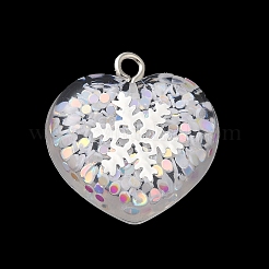 Acrylic Pendant&nbsp;OACR-H030-01B