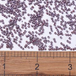 MIYUKI Delica Beads&nbsp;SEED-JP0008-DB1066