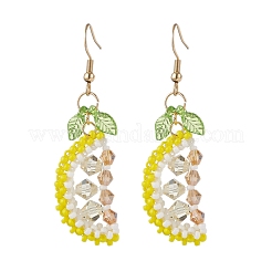 Glass Seed Beads Dangle Earrings&nbsp;EJEW-MZ00499