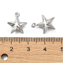Non-Tarnish 304 Stainless Steel Charms&nbsp;STAS-L024-012P