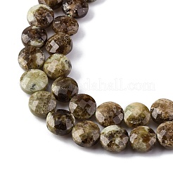 Natural Green Garnet Beads Strands&nbsp;G-C179-A32-03