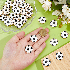 40Pcs Alloy Enamel Pendants&nbsp;ENAM-DC0002-16