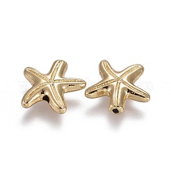 Tibetan Style Alloy Beads&nbsp;X-TIBEB-A004-028G-NR