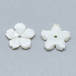 Freshwater Shell Beads&nbsp;X-SHEL-S275-033